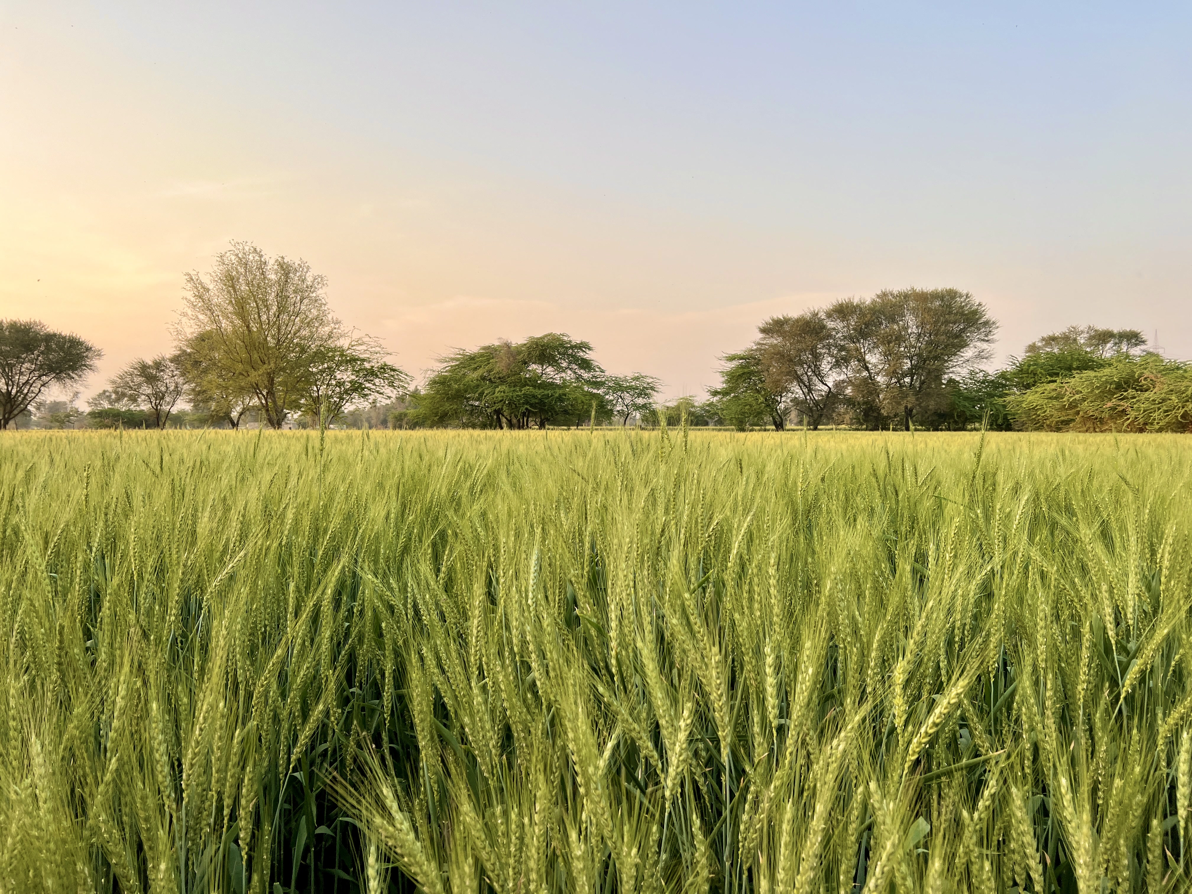 Yosemite National Park